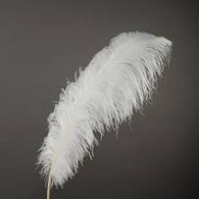Full White Ostrich Feather